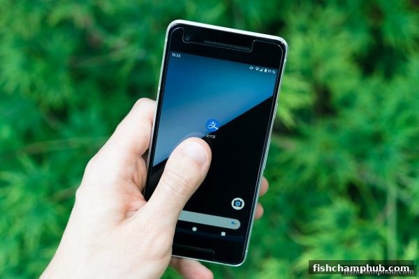 捕鱼王者旗下支付通道风险全解析：揭秘快捷支付的安全隐患与SG飞艇的合规之道
