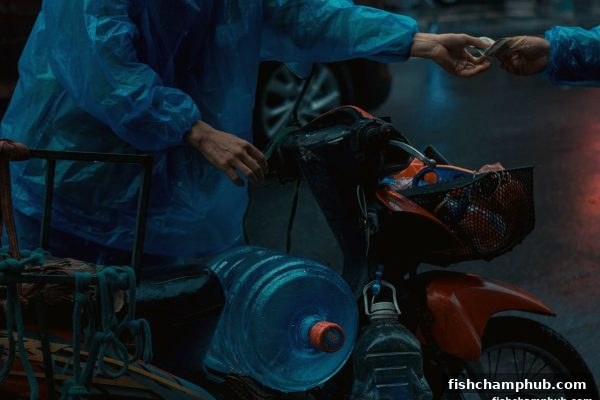 捕鱼王者揭秘：USDT充值为何要经历风控审核？