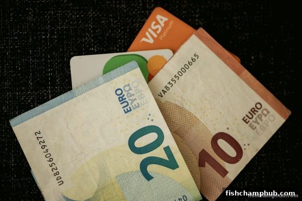 捕鱼王者带你玩转充值：银行卡审核通过后的完整操作手册