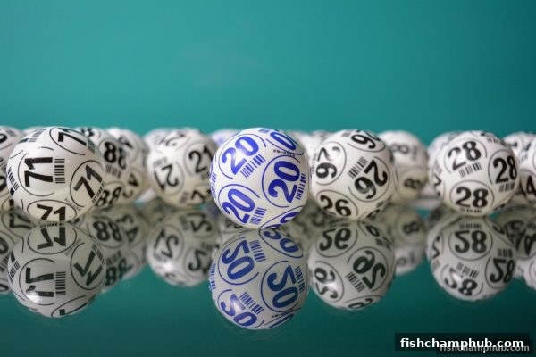捕鱼王者揭秘：快捷支付浪潮中的彩票投注策略新思维