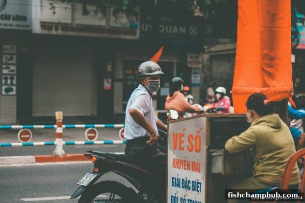 捕鱼王者解读：官方彩票监管体系的全面解析
