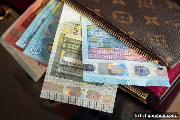 捕鱼王者教你中奖后科学理财：将意外财富转化为长期保障