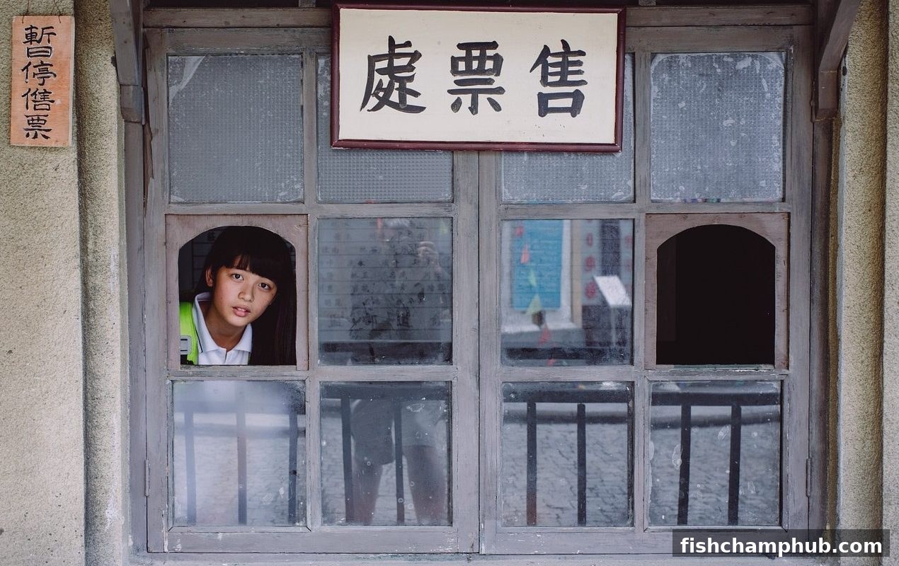 捕鱼王者带你透视数字游戏：概率与运气的真实博弈