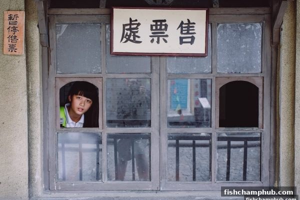 捕鱼王者带你透视数字游戏：概率与运气的真实博弈
