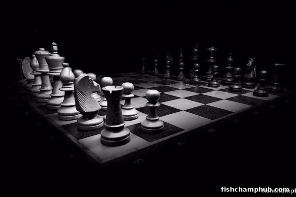 捕鱼王者深度解析：国际象棋开局理论与微信支付的融合之道