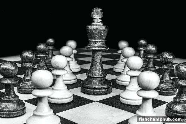 桥牌实战宝典：捕鱼王者教你从规则到五龙争霸的制胜之道