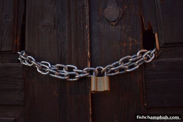 捕鱼王者支招：轻松识别游戏平台的提款异常陷阱