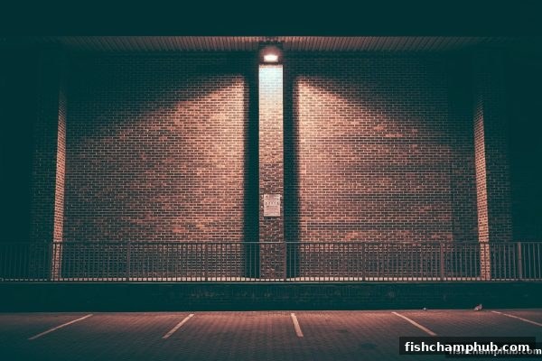 捕鱼王者深度解析：特殊符号如何影响电子游艺提款流程？