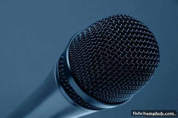 捕鱼王者带你深探五龙争霸足球赛事：战术、数据与观赛全攻略